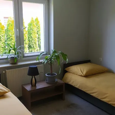 Mlynarska 7 *